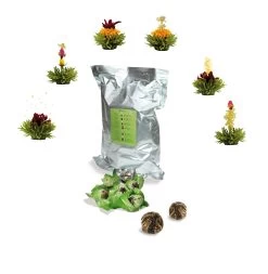 36er Pack ErblühTee Grüner Tee Fruity Flavor