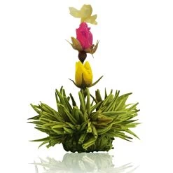 36er Pack ErblühTee Grüner Tee Fruity Flavor -Typhoon Store creano 36er pack erbluhtee gruner tee fruity flavor 4