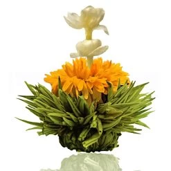 36er Pack ErblühTee Grüner Tee Fruity Flavor -Typhoon Store creano 36er pack erbluhtee gruner tee fruity flavor 7