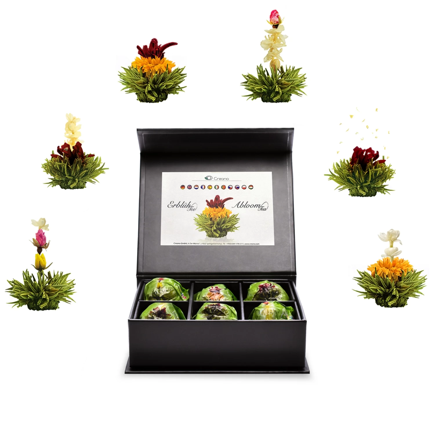 6er Magnetbox ErblühTee Grüntee Fruity Flavor 2 6er Magnetbox ErblühTee Grüntee Fruity Flavor – Bild 2