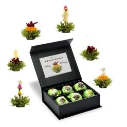 6er Magnetbox ErblühTee Grüntee Fruity Flavor