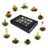 MIXED 18er Magnetbox Teeblumen Grüner/Weißer/Schwarzer Tee