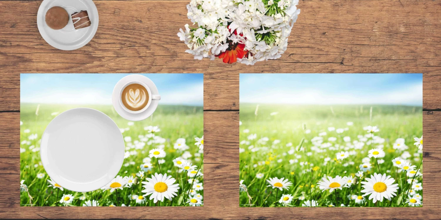 Tischset I Platzset "Margeritenwiese Im Frühling" 12 Stück Aus Papier 44x32 2 Tischset I Platzset "Margeritenwiese Im Frühling" 12 Stück Aus Papier 44x32 – Bild 2